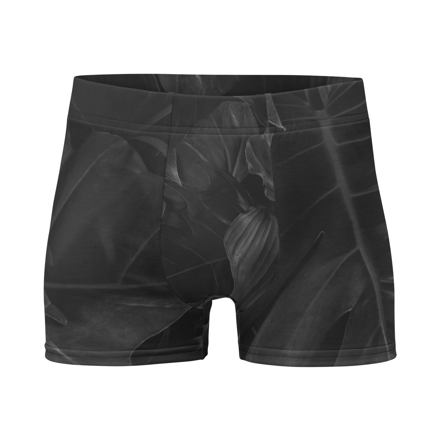 Boxer Briefs